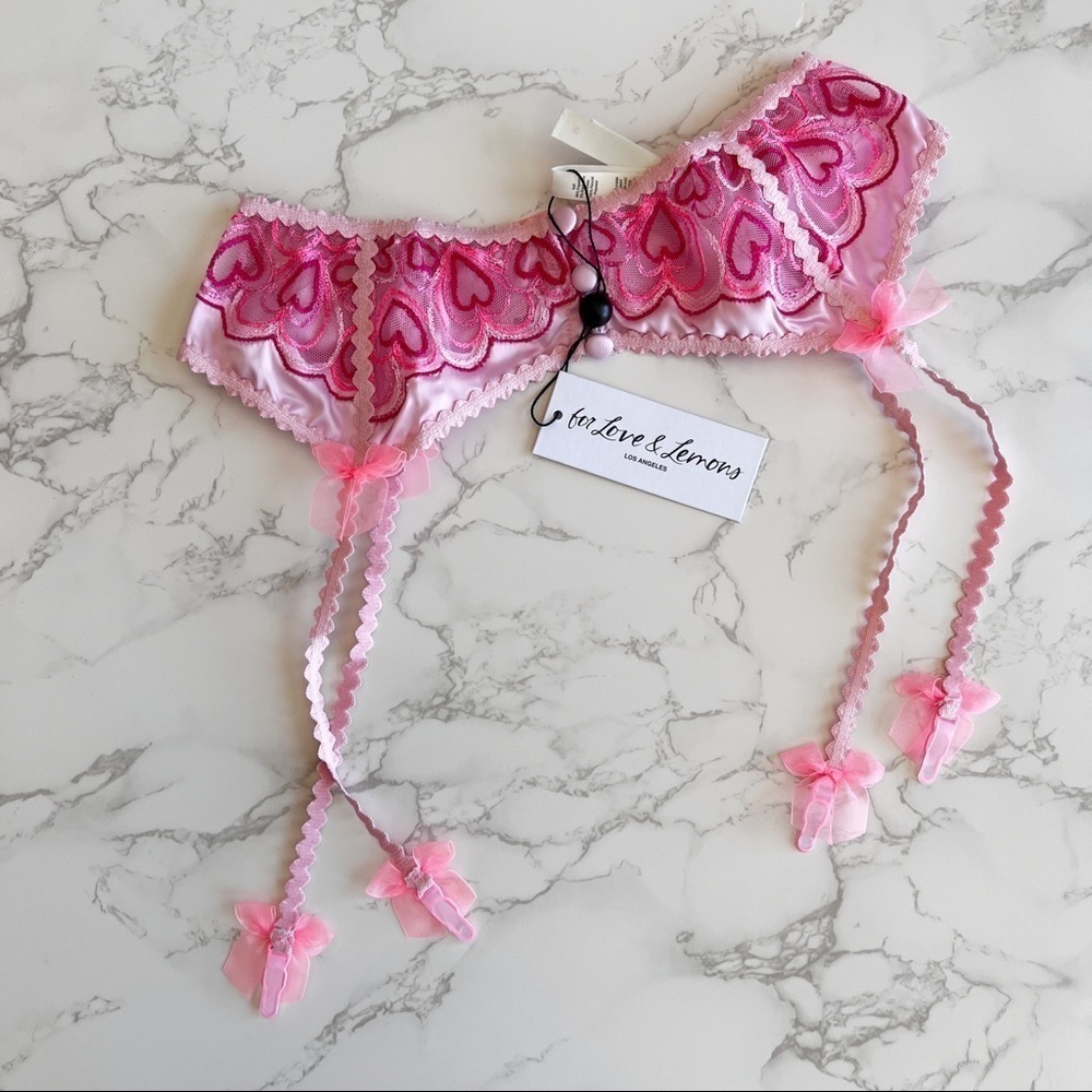 NWT For Love and Lemons Retro Heart Garter Belt Lingerie Pink Womens Size Medium - Picture 3 of 6